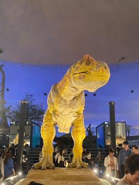 福井県立恐竜博物館に投稿された画像（2025/5/5）