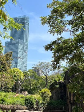 天王寺動物園に投稿された画像（2025/5/5）