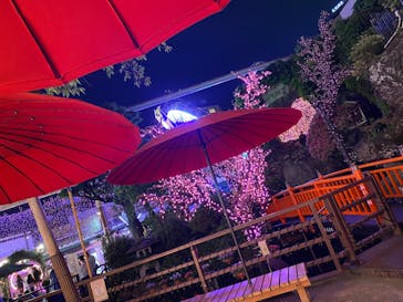 浅草花やしきに投稿された画像（2025/5/5）