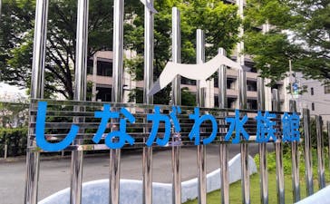 しながわ水族館に投稿された画像（2025/5/5）