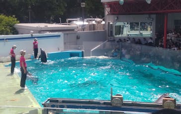 しながわ水族館に投稿された画像（2025/5/5）
