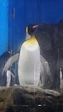 南知多ビーチランド＆南知多おもちゃ王国に投稿された画像（2025/5/5）