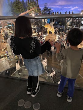福井県立恐竜博物館に投稿された画像（2025/5/5）