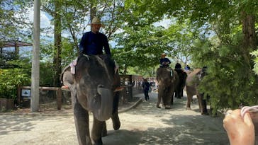 ANIMAL WONDER REZOURT 市原ぞうの国・サユリワールドに投稿された画像（2025/5/5）