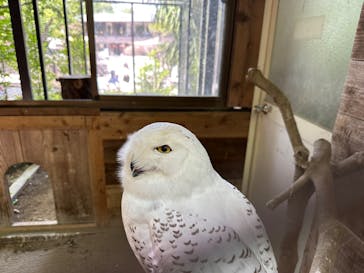 ANIMAL WONDER REZOURT 市原ぞうの国・サユリワールドに投稿された画像（2025/5/5）