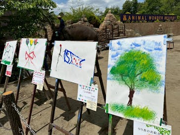 ANIMAL WONDER REZOURT 市原ぞうの国・サユリワールドに投稿された画像（2025/5/5）