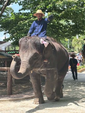 ANIMAL WONDER REZOURT 市原ぞうの国・サユリワールドに投稿された画像（2025/5/5）