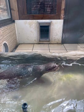 ANIMAL WONDER REZOURT 市原ぞうの国・サユリワールドに投稿された画像（2025/5/5）