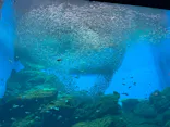 仙台うみの杜水族館に投稿された画像（2025/5/6）