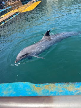 越前松島水族館に投稿された画像（2025/5/5）