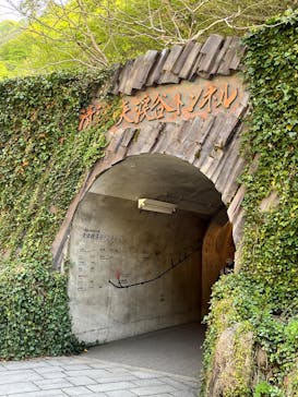 清津峡渓谷トンネルに投稿された画像（2025/5/5）