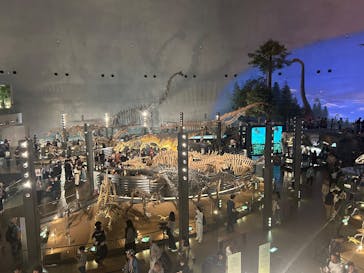 福井県立恐竜博物館に投稿された画像（2025/5/5）