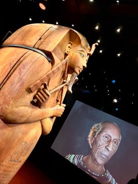 ACN ラムセス大王展 ファラオたちの黄金に投稿された画像（2025/5/5）