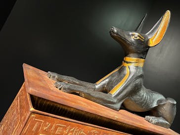 MYSTERY OF TUTANKHAMEN 体感型古代エジプト展に投稿された画像（2025/5/5）