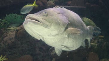 名古屋港水族館に投稿された画像（2025/5/5）