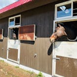 ノーザンホースパークに投稿された画像（2025/5/6）