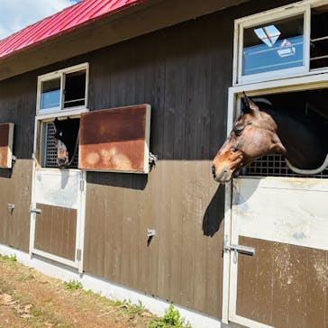 ノーザンホースパークに投稿された画像（2025/5/5）