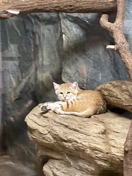 那須どうぶつ王国に投稿された画像（2025/5/5）