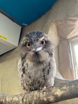 那須どうぶつ王国に投稿された画像（2025/5/5）