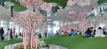 サンシャイン60展望台に投稿された画像（2025/5/5）