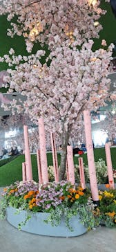 サンシャイン60展望台に投稿された画像（2025/5/5）