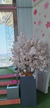 サンシャイン60展望台に投稿された画像（2025/5/5）