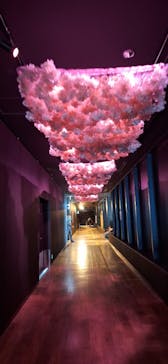 サンシャイン60展望台に投稿された画像（2025/5/5）