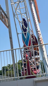 日本モンキーパークに投稿された画像（2025/5/5）