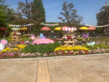 ハーモニーランドに投稿された画像（2025/5/5）