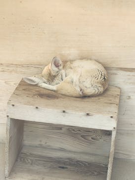 井の頭自然文化園に投稿された画像（2025/5/5）