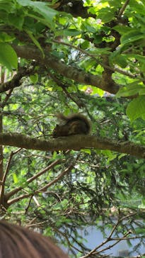 井の頭自然文化園に投稿された画像（2025/5/5）