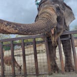 那須サファリパークに投稿された画像（2025/5/6）