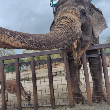 那須サファリパークに投稿された画像（2025/5/5）