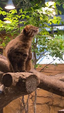 那須どうぶつ王国に投稿された画像（2025/5/5）