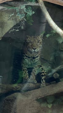 那須どうぶつ王国に投稿された画像（2025/5/5）