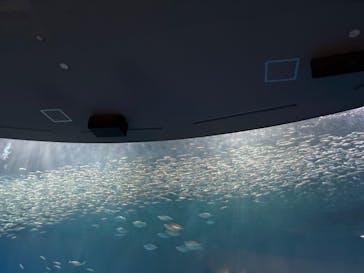 名古屋港水族館に投稿された画像（2025/5/5）