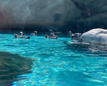 天王寺動物園に投稿された画像（2025/5/4）