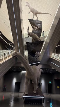福井県立恐竜博物館に投稿された画像（2025/5/5）