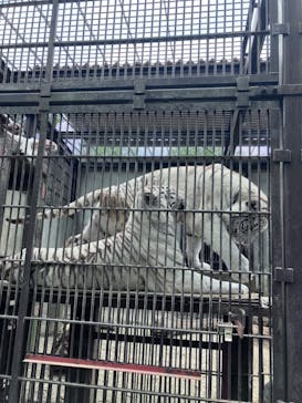 宇都宮動物園に投稿された画像（2025/5/5）
