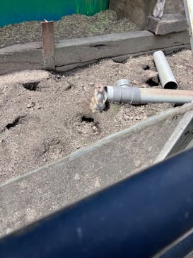 宇都宮動物園に投稿された画像（2025/5/5）