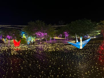 伊豆高原グランイルミに投稿された画像（2025/5/5）