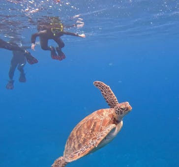  マリンショップHAPPYに投稿された画像（2025/5/5）