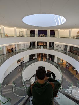 福井県立恐竜博物館に投稿された画像（2025/5/5）