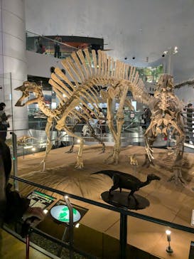 福井県立恐竜博物館に投稿された画像（2025/5/5）