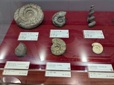 福井県立恐竜博物館に投稿された画像（2025/5/5）