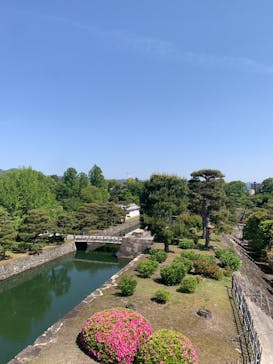 元離宮二条城に投稿された画像（2025/5/5）