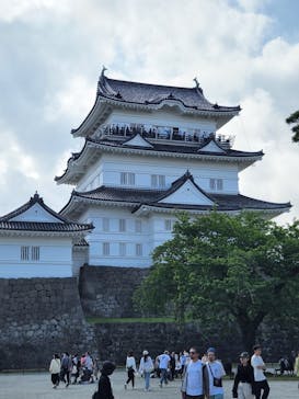 小田原城に投稿された画像（2025/5/5）