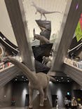 福井県立恐竜博物館に投稿された画像（2025/5/6）