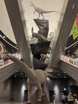 福井県立恐竜博物館に投稿された画像（2025/5/5）