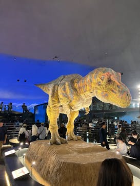 福井県立恐竜博物館に投稿された画像（2025/5/5）